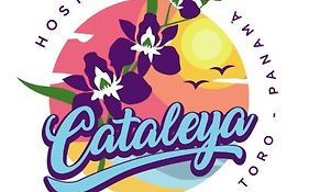 Cataleya Hostel, Bocas Del Toro